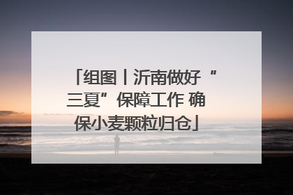 组图丨沂南做好“三夏”保障工作 确保小麦颗粒归仓