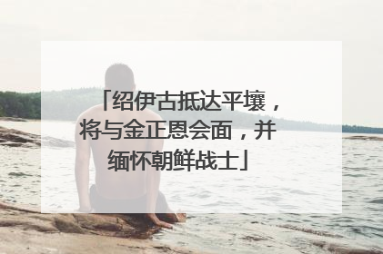 绍伊古抵达平壤，将与金正恩会面，并缅怀朝鲜战士