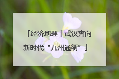 经济地理丨武汉奔向新时代“九州通衢”