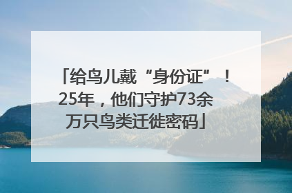 给鸟儿戴“身份证”！25年，他们守护73余万只鸟类迁徙密码