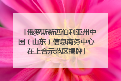 俄罗斯新西伯利亚州中国（山东）信息商务中心在上合示范区揭牌