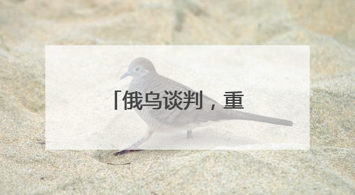 俄乌谈判，重磅消息传出！