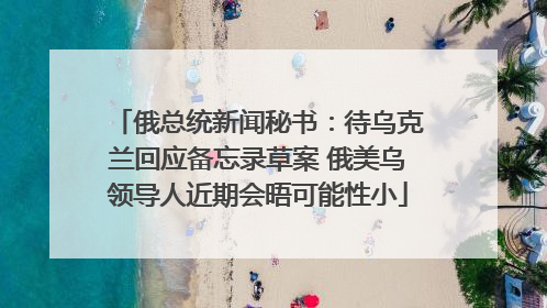 俄总统新闻秘书：待乌克兰回应备忘录草案 俄美乌领导人近期会晤可能性小