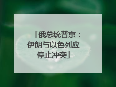 俄总统普京：伊朗与以色列应停止冲突