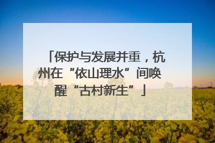 保护与发展并重，杭州在“依山理水”间唤醒“古村新生”