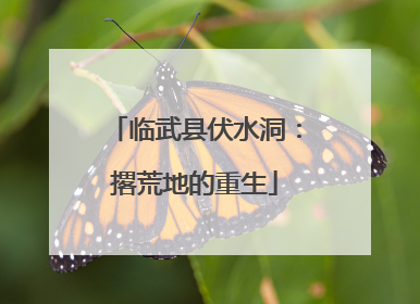 临武县伏水洞：撂荒地的重生