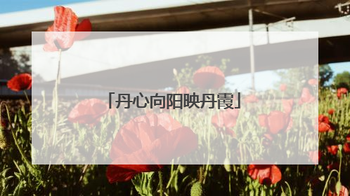 丹心向阳映丹霞