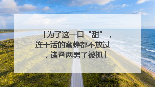 为了这一口“甜”，连干活的蜜蜂都不放过，诸暨两男子被抓
