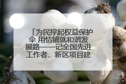 为民撑起权益保护伞 用情铺就和谐发展路——记全国先进工作者、新区项目建设中心干部卢小勇