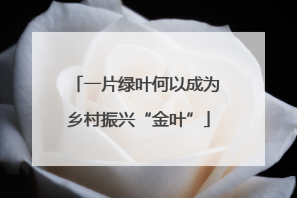 一片绿叶何以成为乡村振兴“金叶”