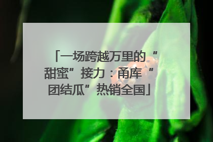 一场跨越万里的“甜蜜”接力：甬库“团结瓜”热销全国