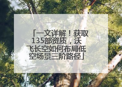 一文详解！获取135部资质，沃飞长空如何布局低空场景三阶路径