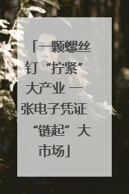 一颗螺丝钉“拧紧”大产业 一张电子凭证“链起”大市场