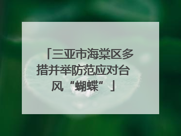 三亚市海棠区多措并举防范应对台风“蝴蝶”