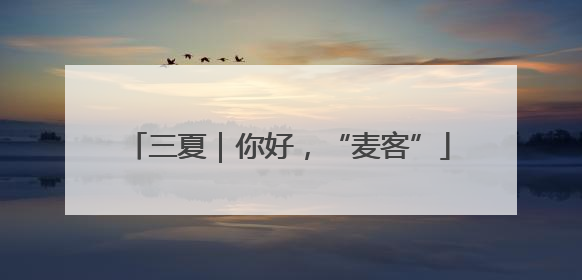 三夏｜你好，“麦客”