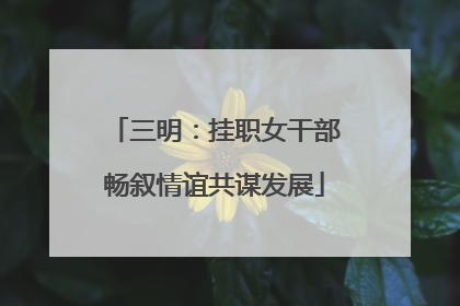 三明：挂职女干部畅叙情谊共谋发展