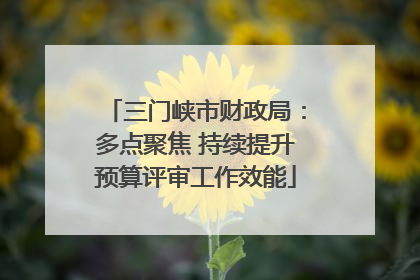 三门峡市财政局：多点聚焦 持续提升预算评审工作效能