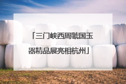 三门峡西周虢国玉器精品展亮相杭州