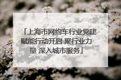 上海市网约车行业党建赋能行动开启 聚行业力量 深入城市服务