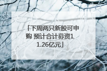 下周两只新股可申购 预计合计募资11.26亿元
