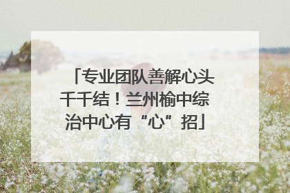 专业团队善解心头千千结！兰州榆中综治中心有“心”招