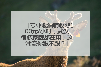 专业收纳师收费100元/小时，武汉很多家庭都在用，这潮流你跟不跟？