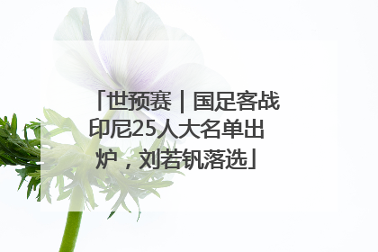 世预赛｜国足客战印尼25人大名单出炉，刘若钒落选