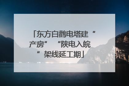 东方白鹳电塔建“产房” “陕电入皖”架线延工期