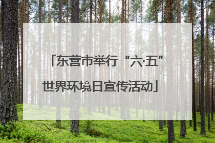 东营市举行“六·五”世界环境日宣传活动