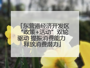 东营港经济开发区“政策+活动”双轮驱动 提振消费能力 释放消费潜力