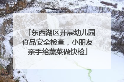 东西湖区开展幼儿园食品安全检查，小朋友亲手给蔬菜做快检