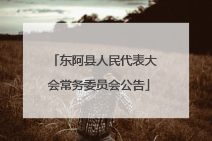 东阿县人民代表大会常务委员会公告