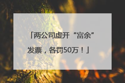 两公司虚开“富余”发票，各罚50万！