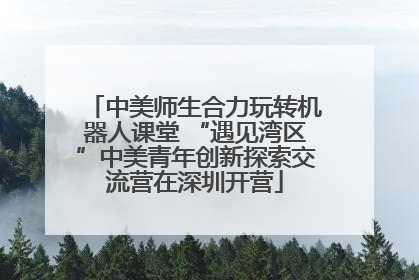 中美师生合力玩转机器人课堂 “遇见湾区”中美青年创新探索交流营在深圳开营