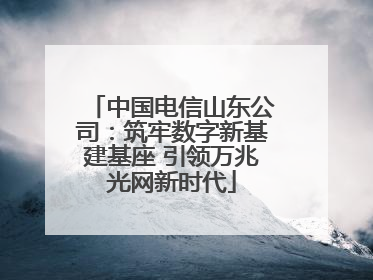 中国电信山东公司：筑牢数字新基建基座 引领万兆光网新时代