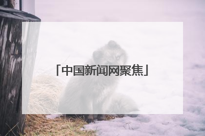 中国新闻网聚焦