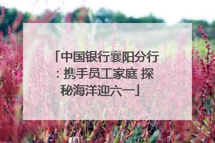 中国银行襄阳分行：携手员工家庭 探秘海洋迎六一