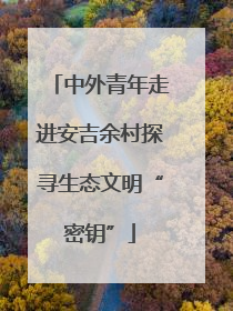 中外青年走进安吉余村探寻生态文明“密钥”