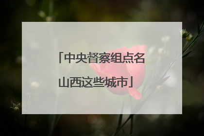 中央督察组点名山西这些城市