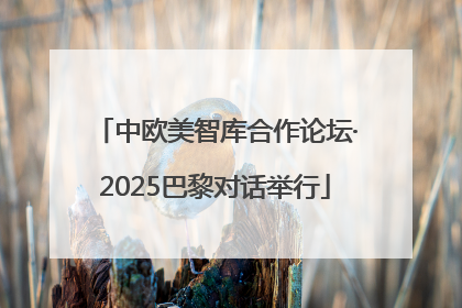 中欧美智库合作论坛·2025巴黎对话举行