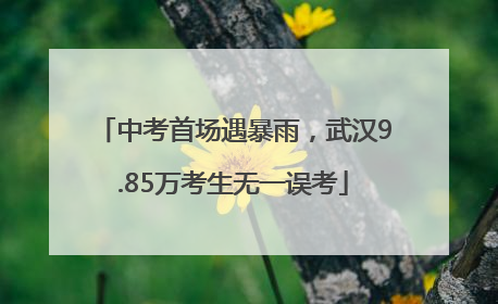 中考首场遇暴雨，武汉9.85万考生无一误考