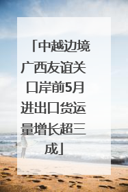 中越边境广西友谊关口岸前5月进出口货运量增长超三成
