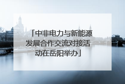 中非电力与新能源发展合作交流对接活动在岳阳举办