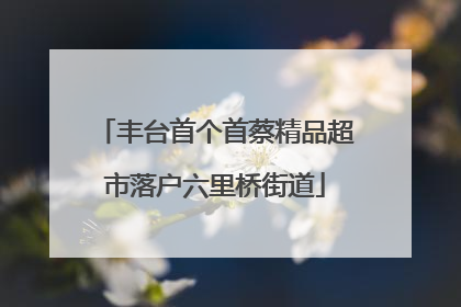丰台首个首蔡精品超市落户六里桥街道
