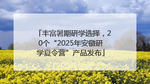 丰富暑期研学选择，20个“2025年安徽研学夏令营”产品发布