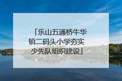 乐山五通桥牛华镇二码头小学夯实少先队组织建设