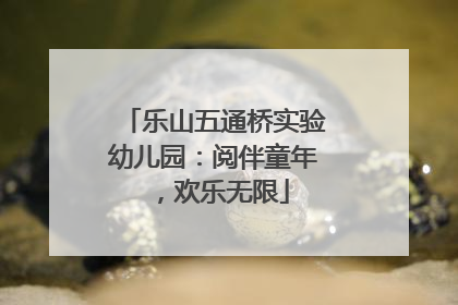 乐山五通桥实验幼儿园：阅伴童年，欢乐无限