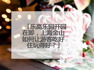 乐高乐园开园在即，上海金山如何让游客吃好住玩得好？