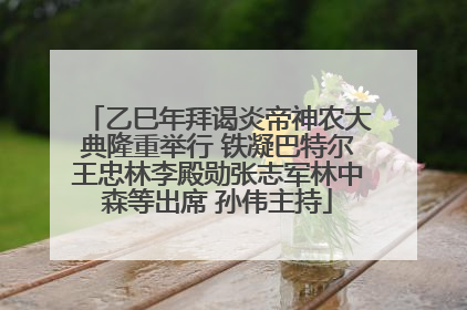 乙巳年拜谒炎帝神农大典隆重举行 铁凝巴特尔王忠林李殿勋张志军林中森等出席 孙伟主持