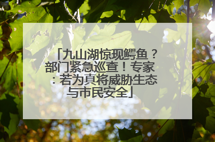 九山湖惊现鳄鱼？部门紧急巡查！专家：若为真将威胁生态与市民安全